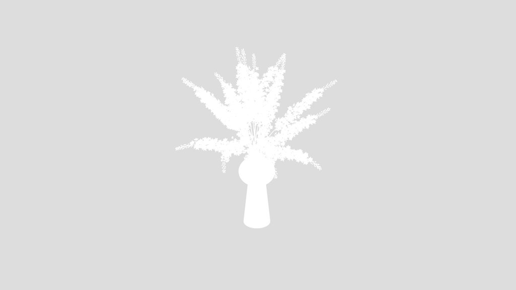 Sj White Lilac Flower