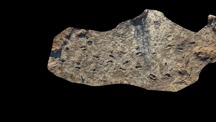 Newly Discovered Footprints from Ancient People 3D Model