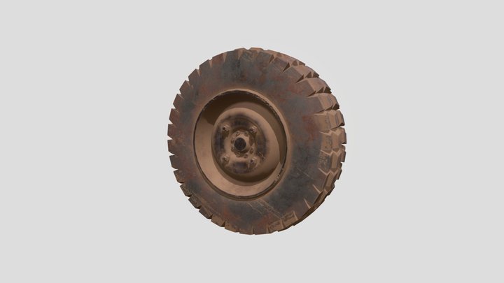 Tyre Debris 3D Model