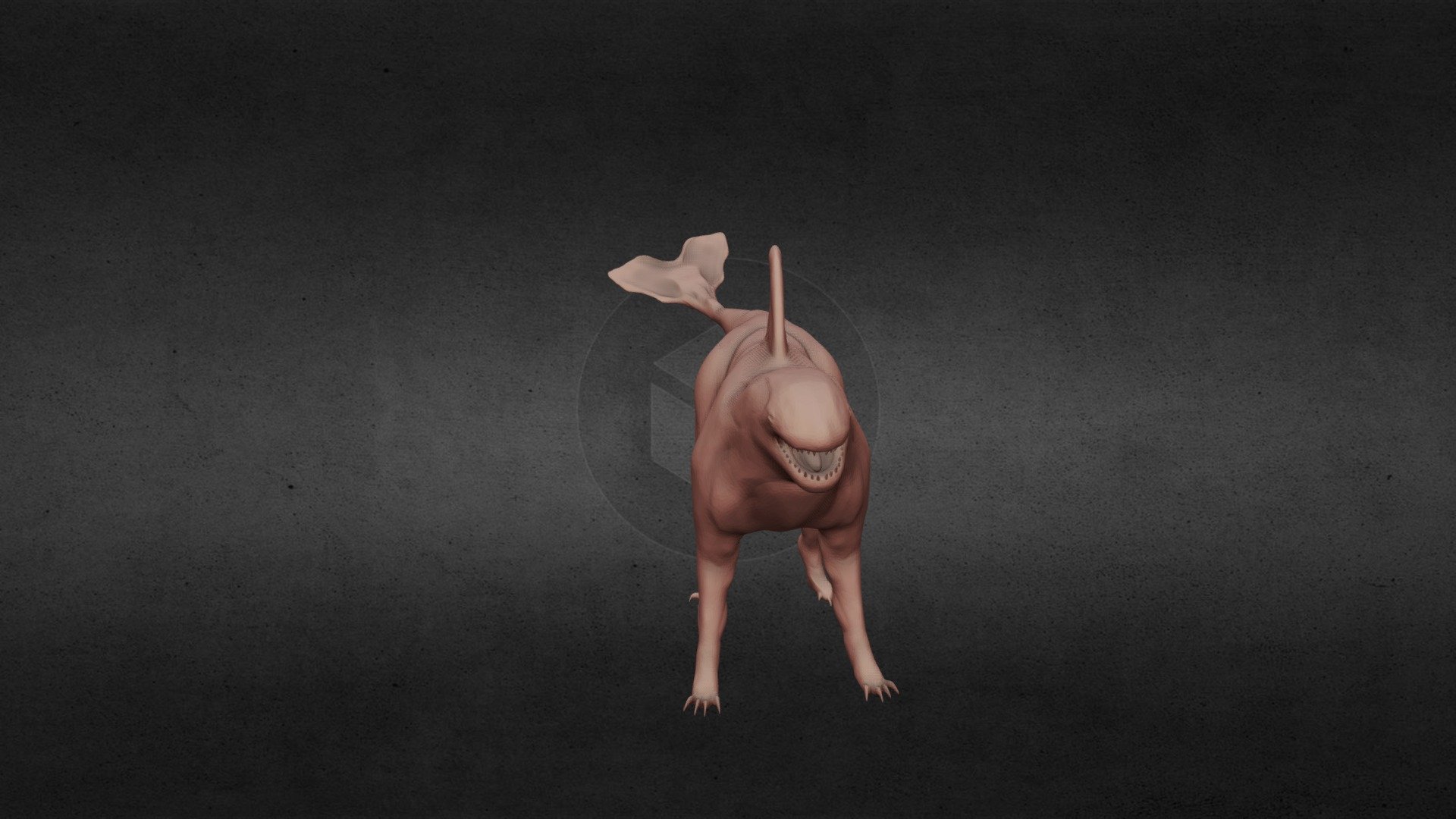 Orca