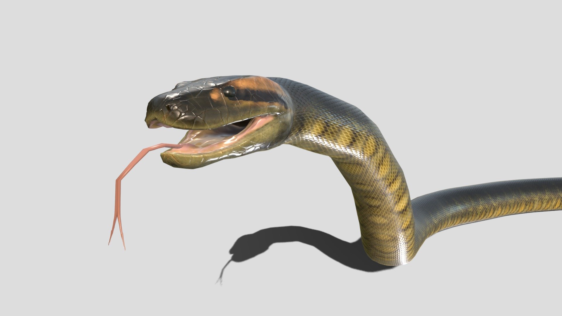 Grass Snake 3D model - Baixar Animais no