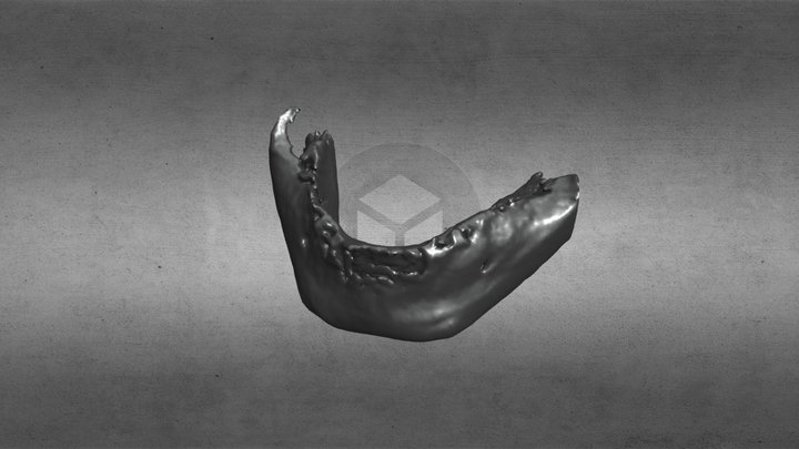 mandteszt4 3D Model