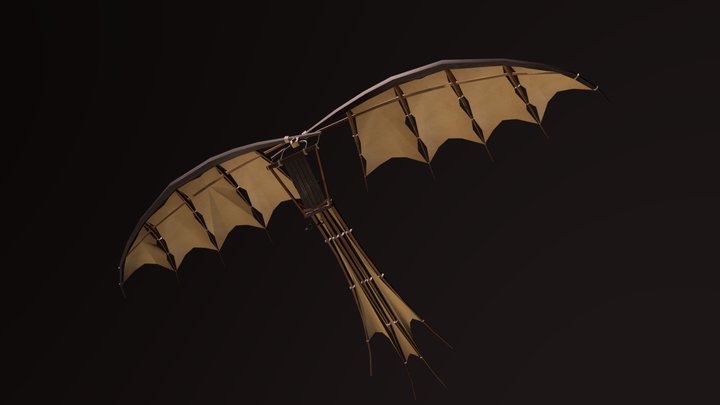 Da Vinci's - Flying Machine 3D Model
