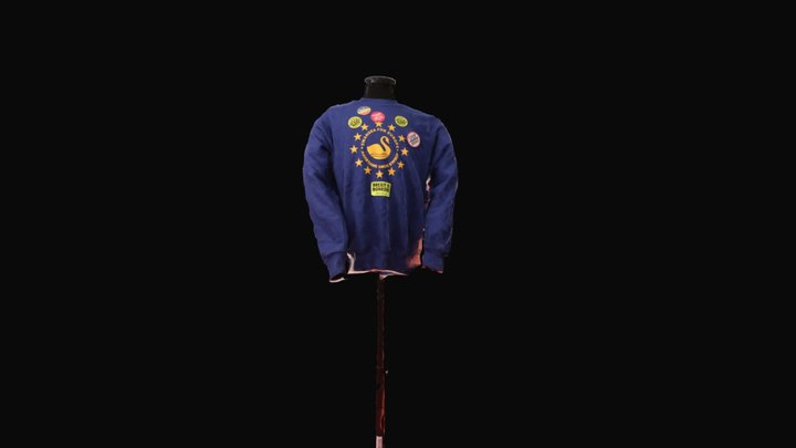 Anti-Brexit Sweater (JPG based texture) 3D Model