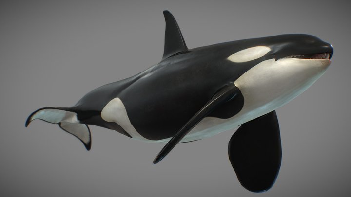 Sketchfab
