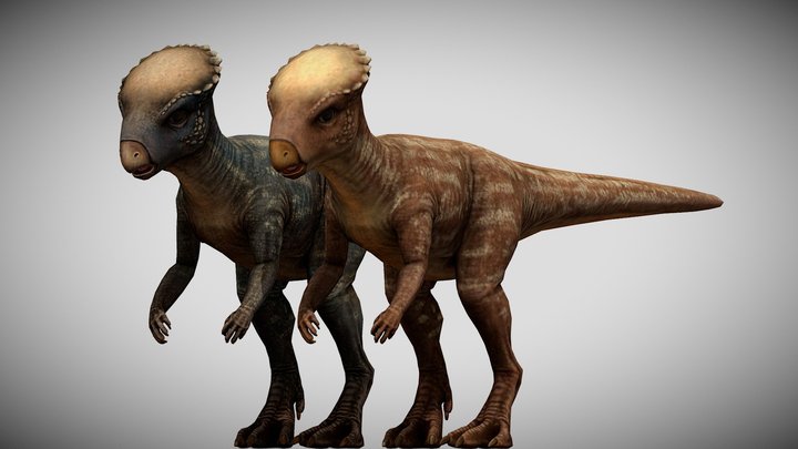 JW: PO Homalocephale – Free 3D Model STL