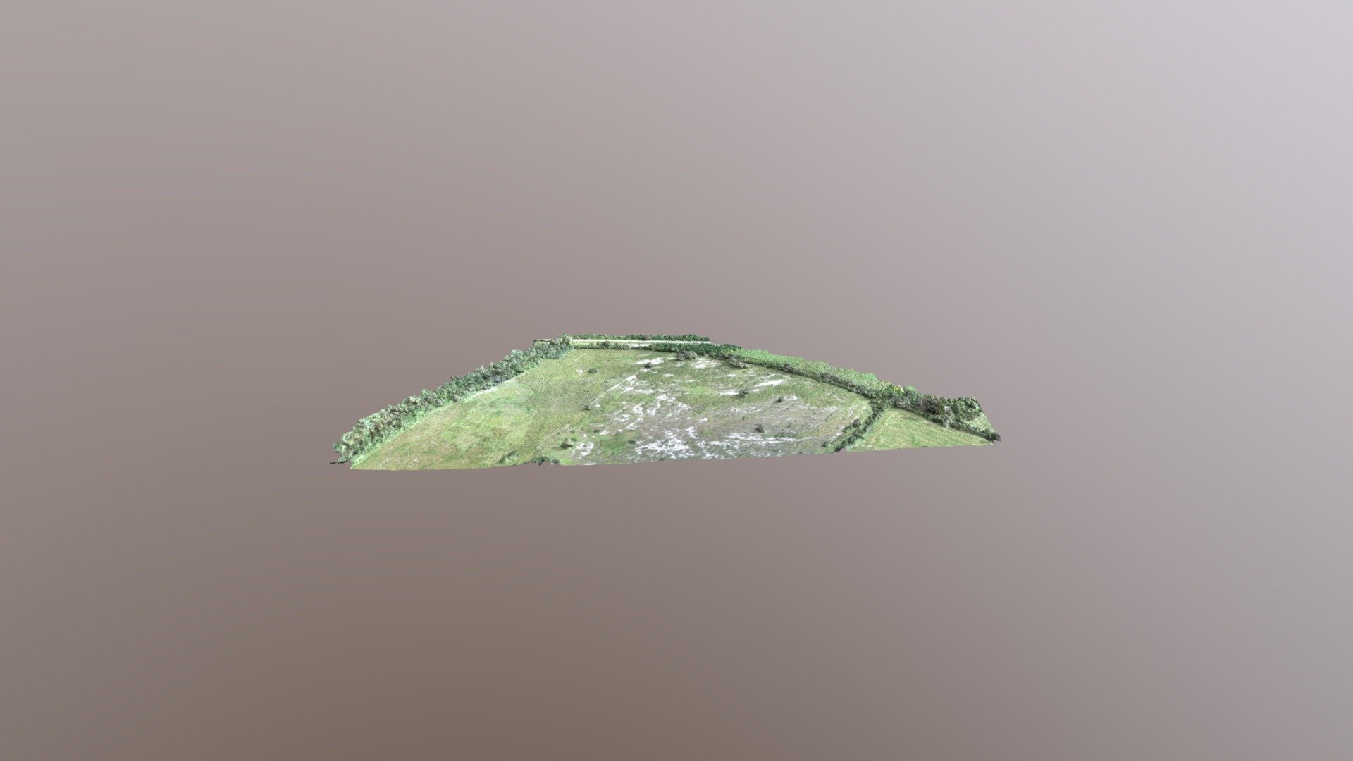 PS Lavayen 1 Simplified 3d Mesh