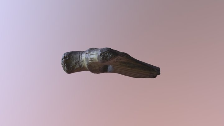 Corno cervo 3D Model
