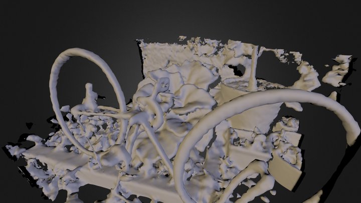 Structure Sensor - test scan 10 - Bike & rhubarb 3D Model