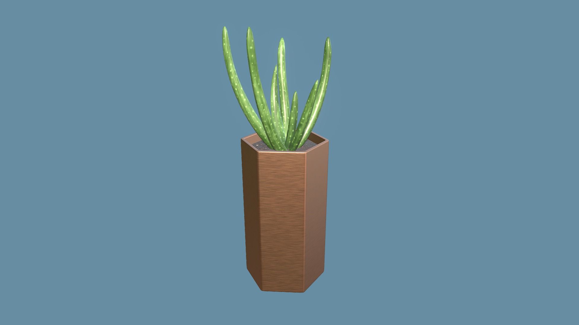 3D model Aloe Cactus - This is a 3D model of the Aloe Cactus. The 3D model is about a plant in a pot.