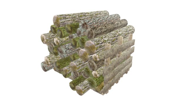 Wood Log Low Poly Type 1 3D Model