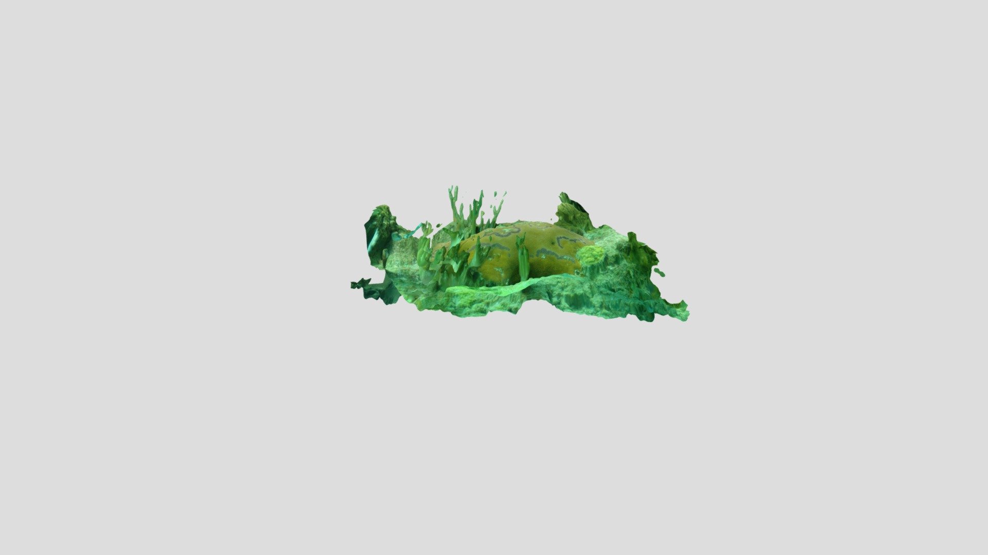 BlueHole090818Section2DiseaseModel