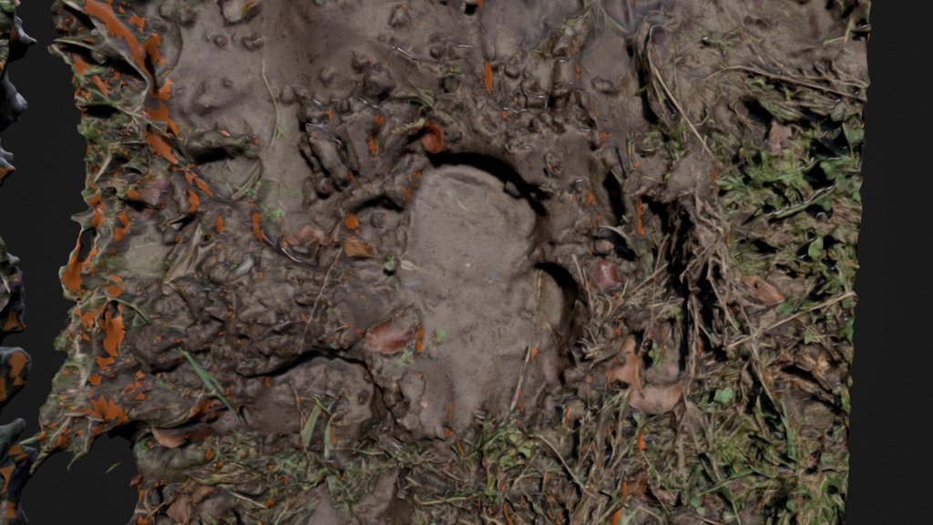 Rhino tracks, Deept Mud, Chester UK.
