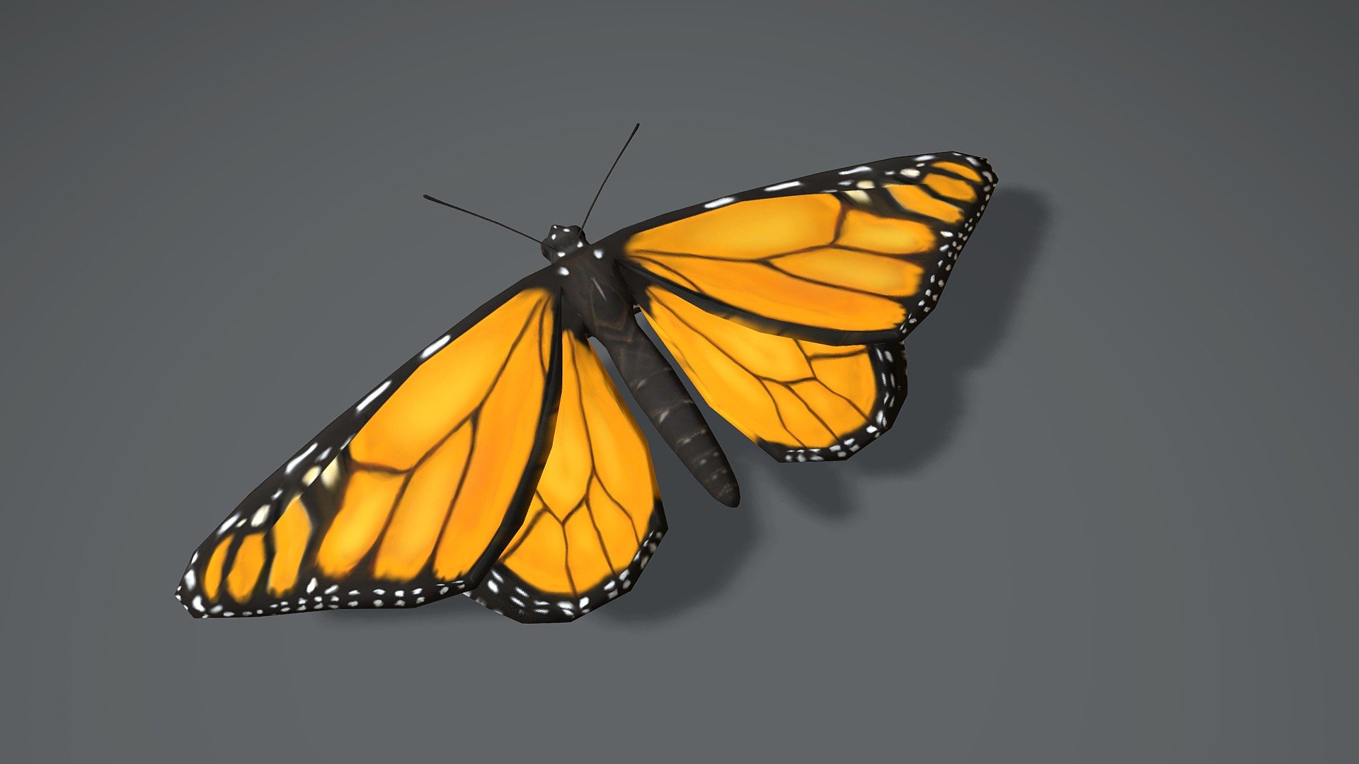 Free Butterfly 3D Models for Download