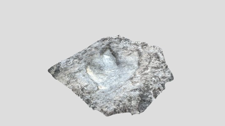 Dinosaur Footprint - Proof of Concept 3D Model