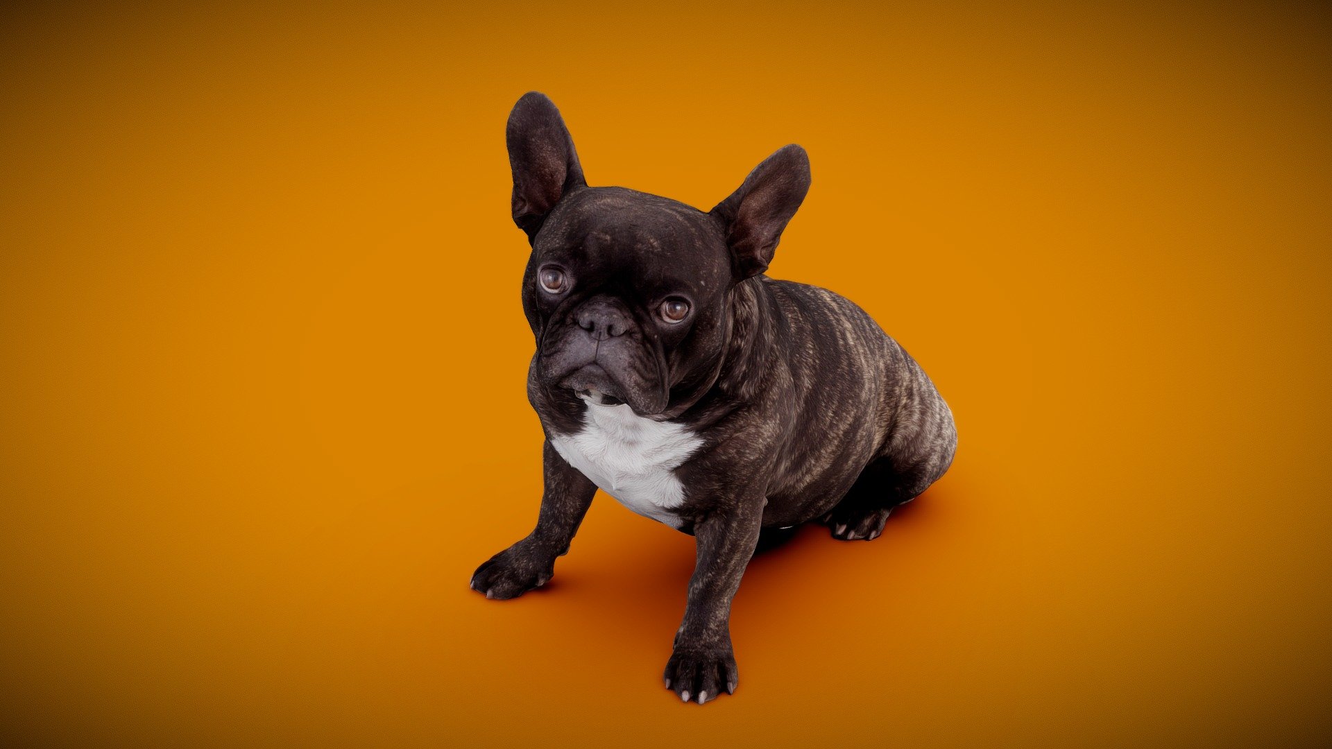 DOG B - 12of13 - Buy Royalty Free 3D model by Frank.Zwick (@Frank_Zwick ...