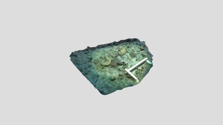 Chond model 3d 3D Model