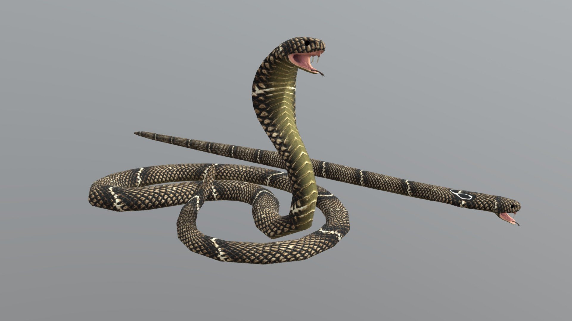 Cobra Snake 3d model - CadNav