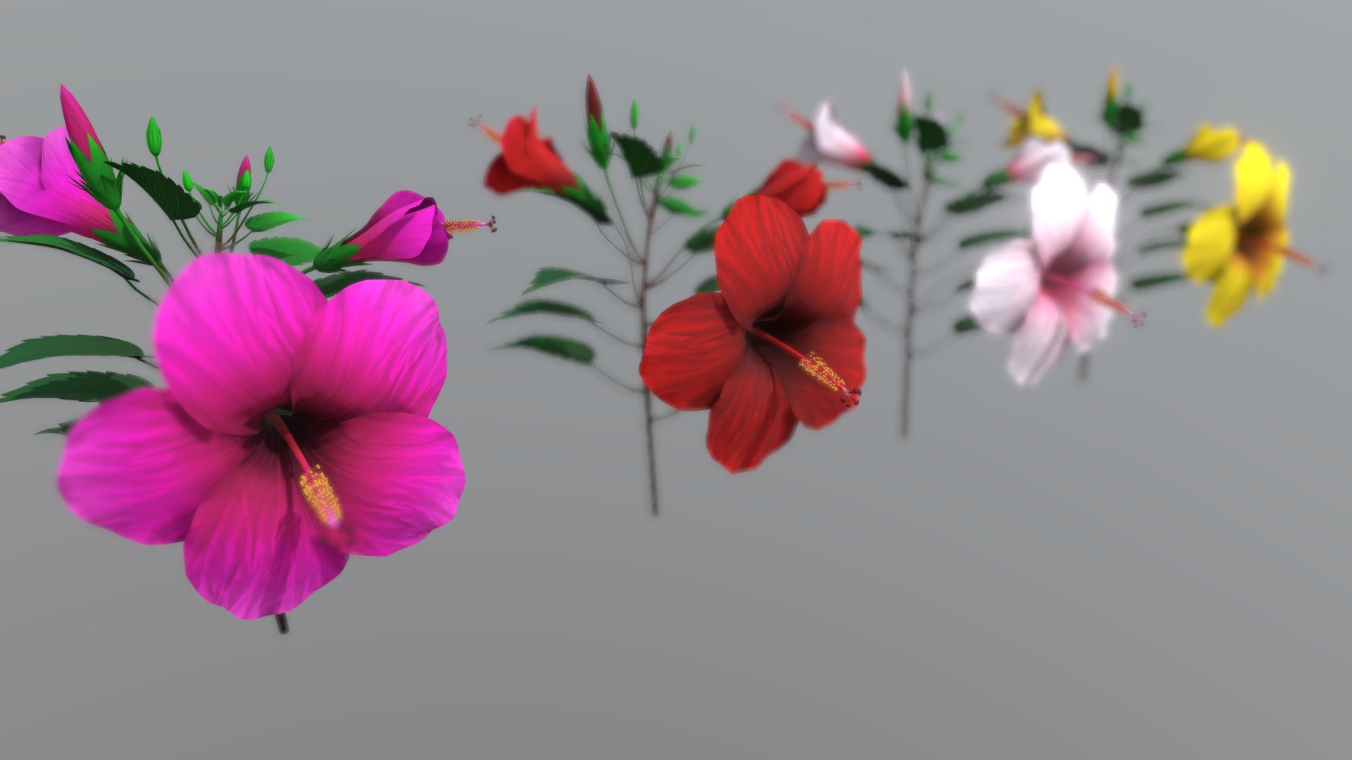 3D model Flower Malaysia - This is a 3D model of the Flower Malaysia. The 3D model is about a group of flowers.