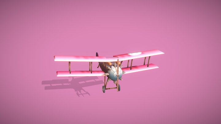 WW1 airplane - The Tased Bird 3D Model