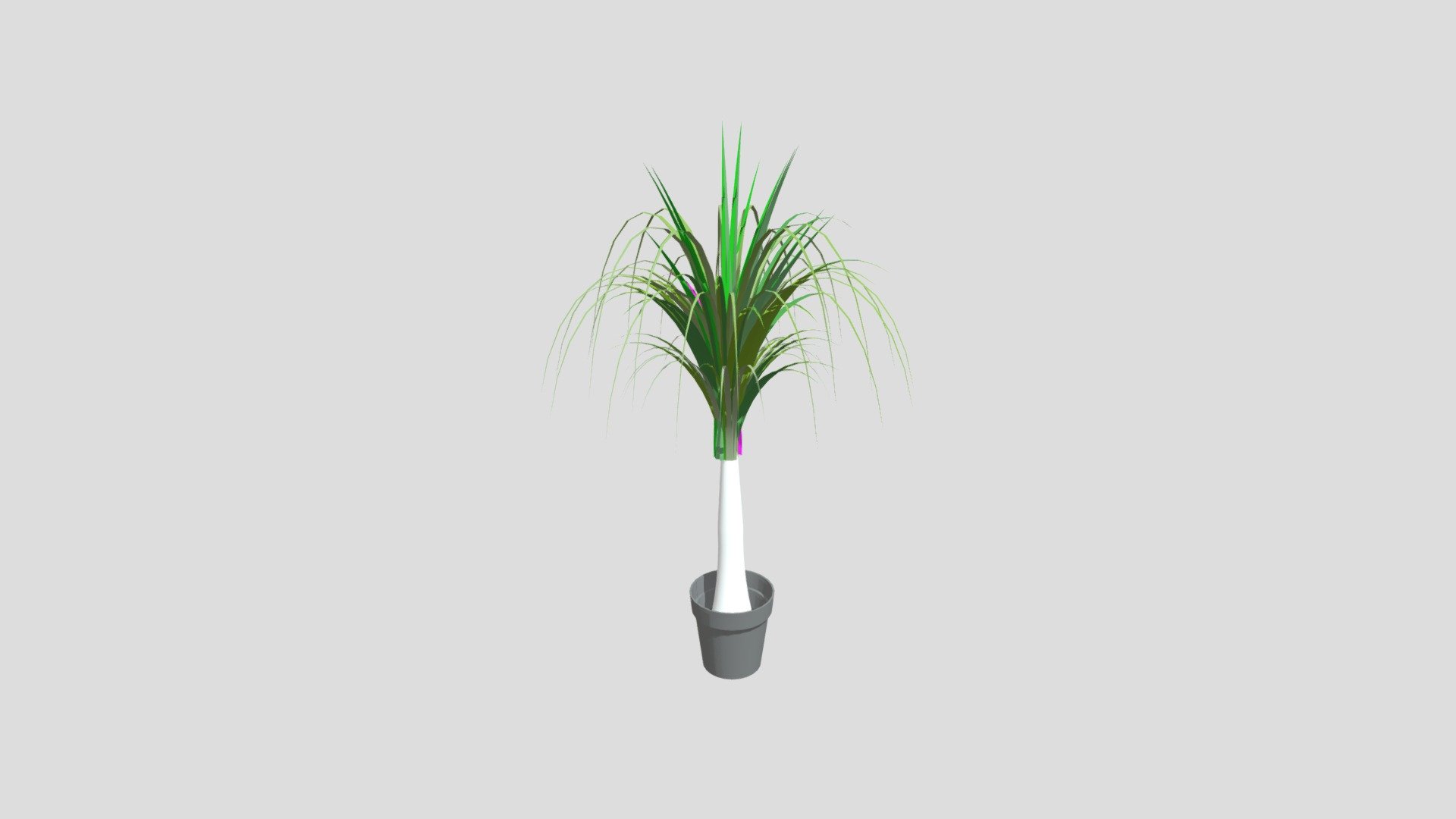 neoned plant