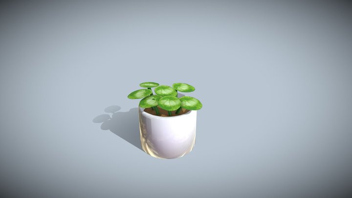 Plant 3D Model