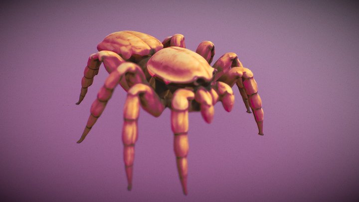 Goliath birdeater (Theraphosa blondi) spider 3D Model