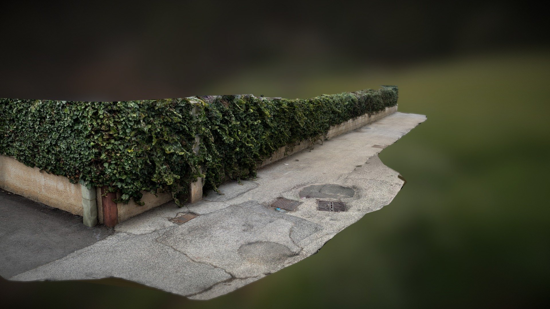 220207 Daily commute 3. Ivy wall
