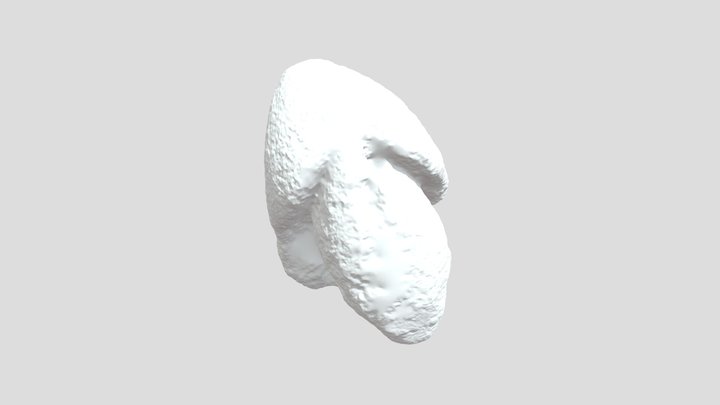Stone Frog 3D Model