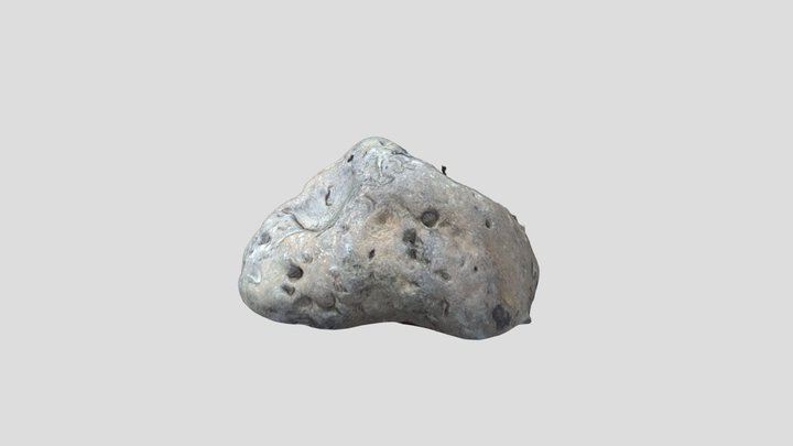fossilized clay rock 3D Model