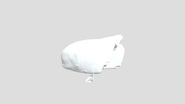 ECOS – Modello 3D gratuito STL