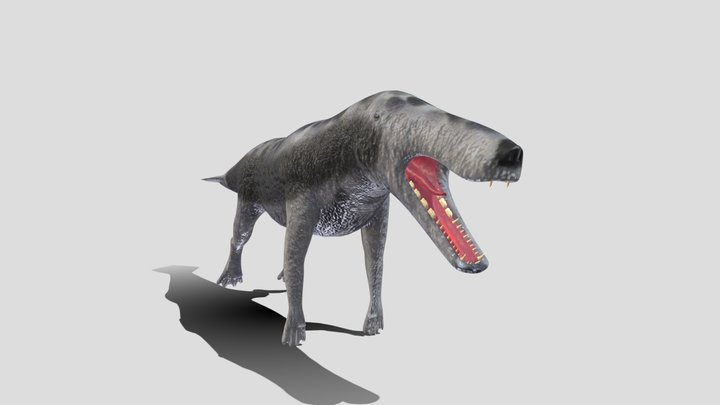 Maiacetus 3D Model