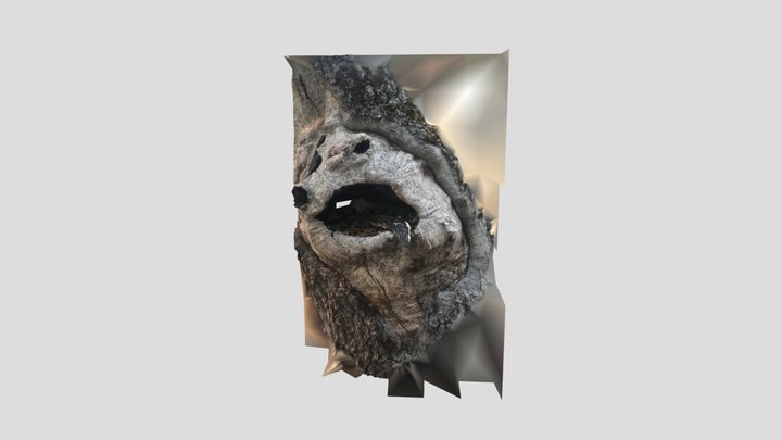 树头 3D Model