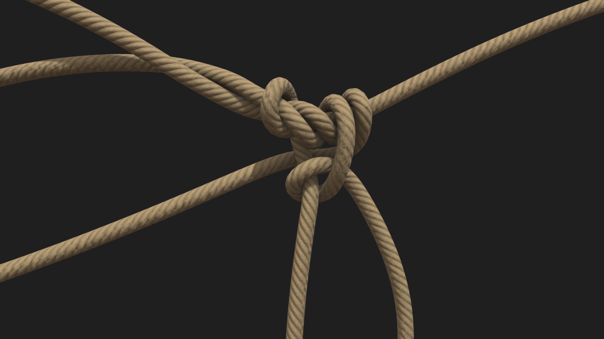 3D model Rope - This is a 3D model of the Rope. The 3D model is about a close-up of a hand holding a branch.