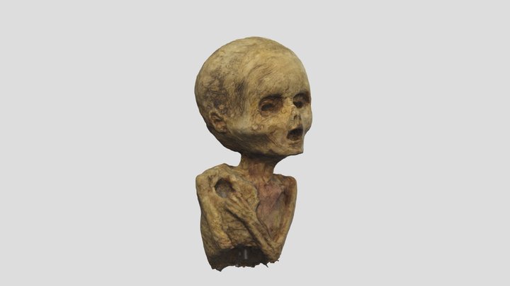 Child mummy replica 3D Model
