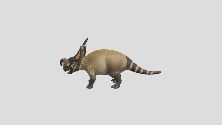 Einiosaurus 3D Model