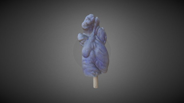 Bluespots 3D Model