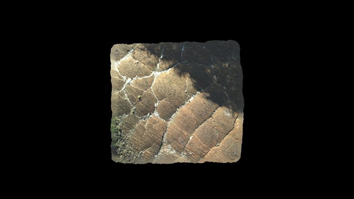 Puako Petroglyphs - Set 1 3D Model