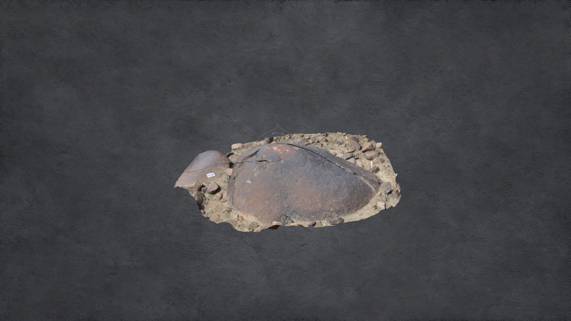 Rock Carving at Thalpan (Rock 683) 3D model by cvlablums [acbaca7