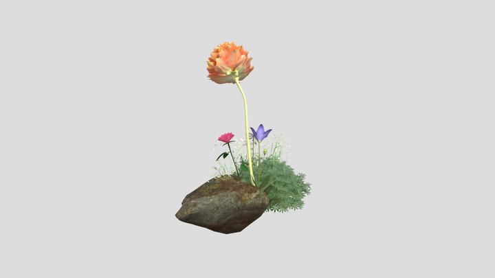 orange flower set 3D Model
