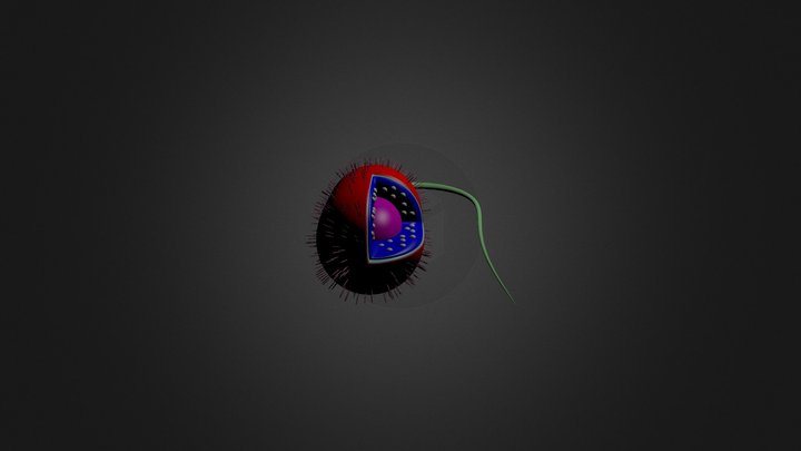 Prokaryoteexport 3D Model
