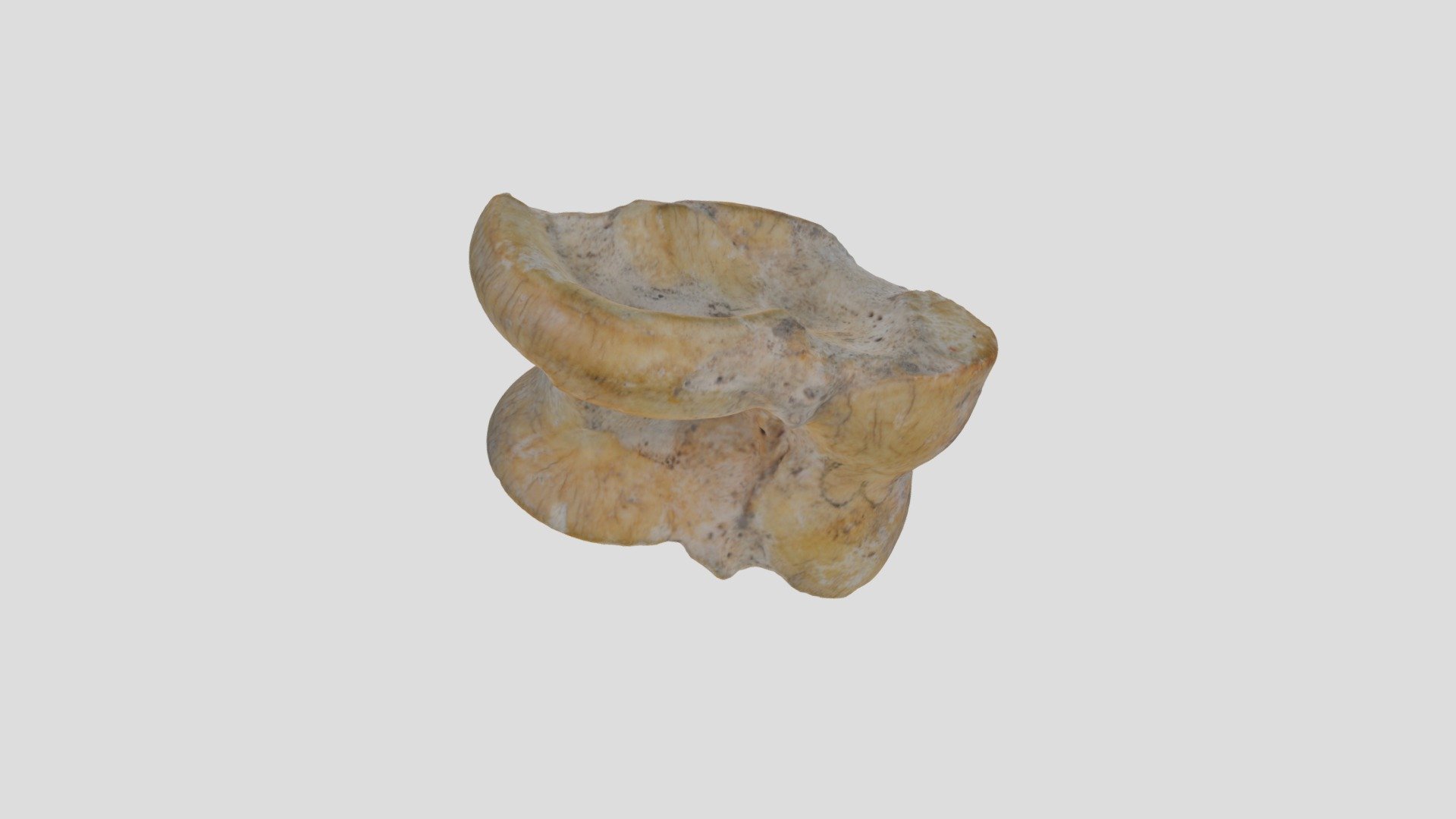 "Ancient Dice", Cattle Astralgus