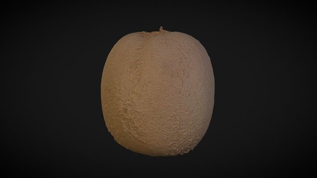 Kiwi Scan 3D Model