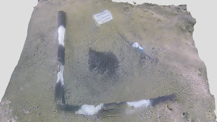 Cheek #254, As Discovered 3D Model
