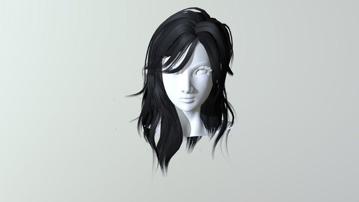 Pocolov Hair 06 3D Model