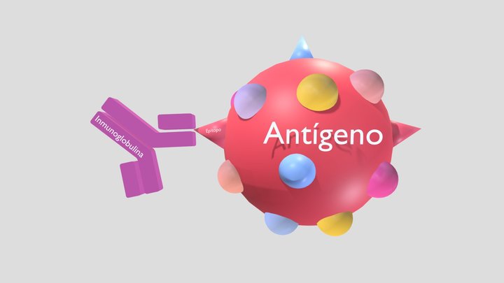 Antígeno 3D Model