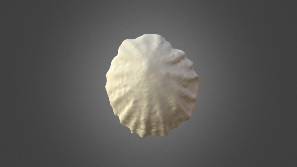 Patella Crenata