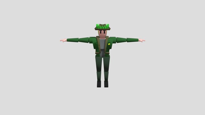 Salute 3D Model