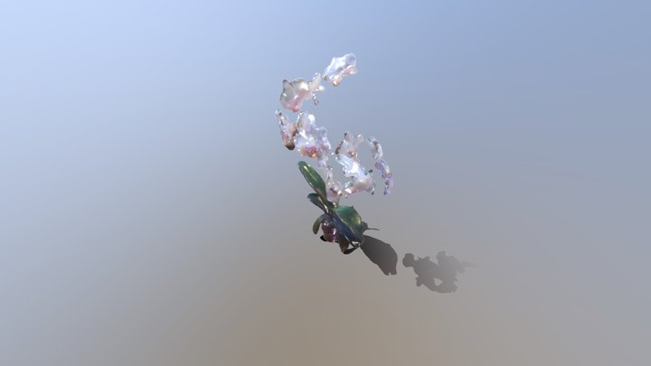 Orchid 3D Model
