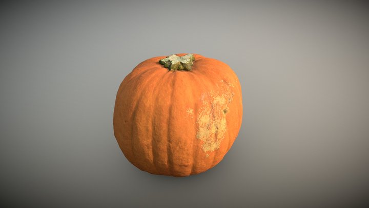 Polish pumpkin
